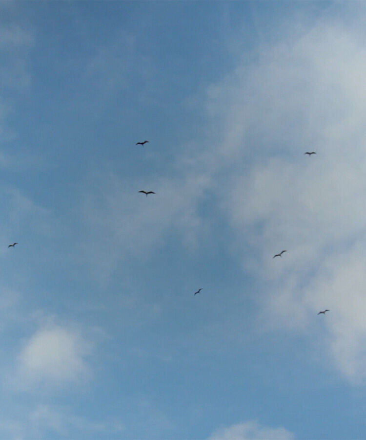 Image without a name